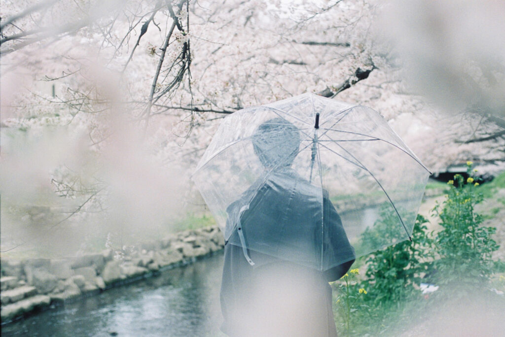 春のフィルム写真