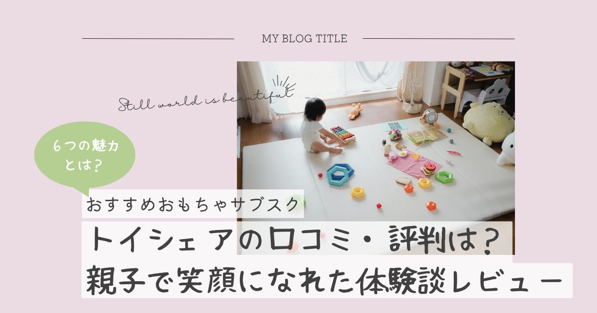 トイシェアの口コミ