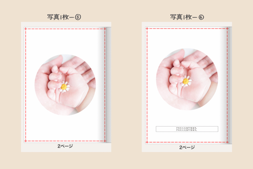 1枚 (3)